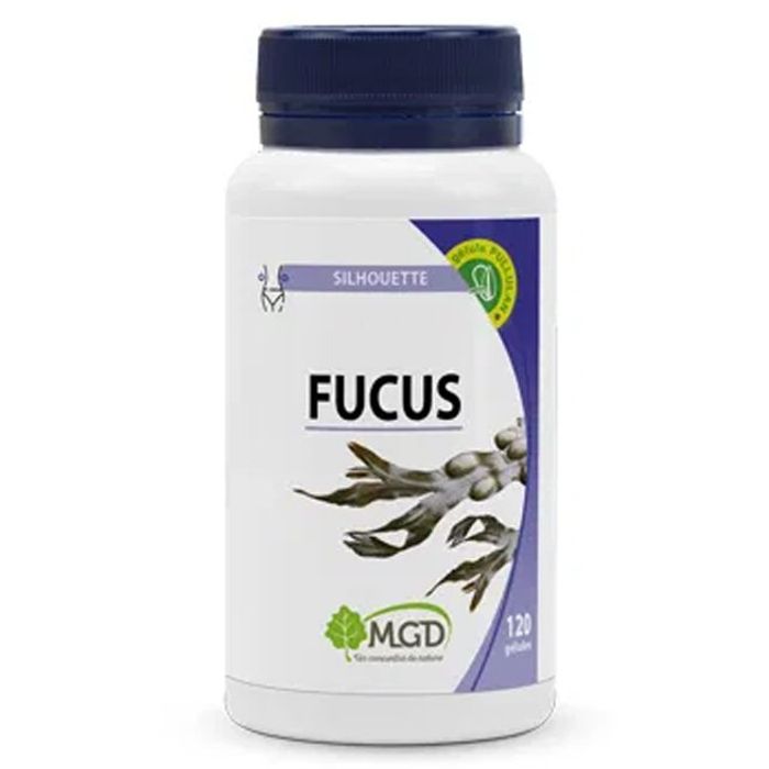 MGD FUCUS 120G