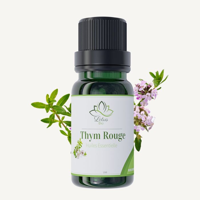ESSENCE DE THYM 125ML (SEPCA)