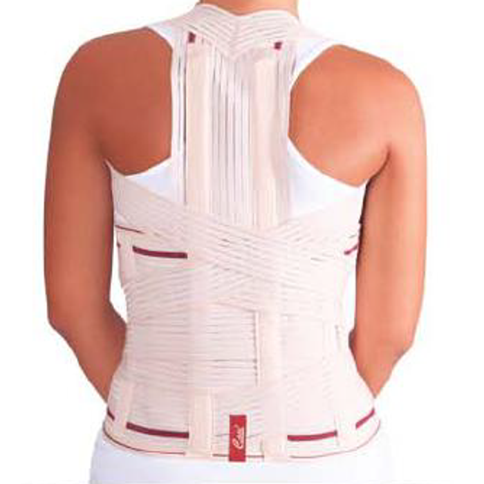 CASE DORSSO LOMBAIRE TM HB5248