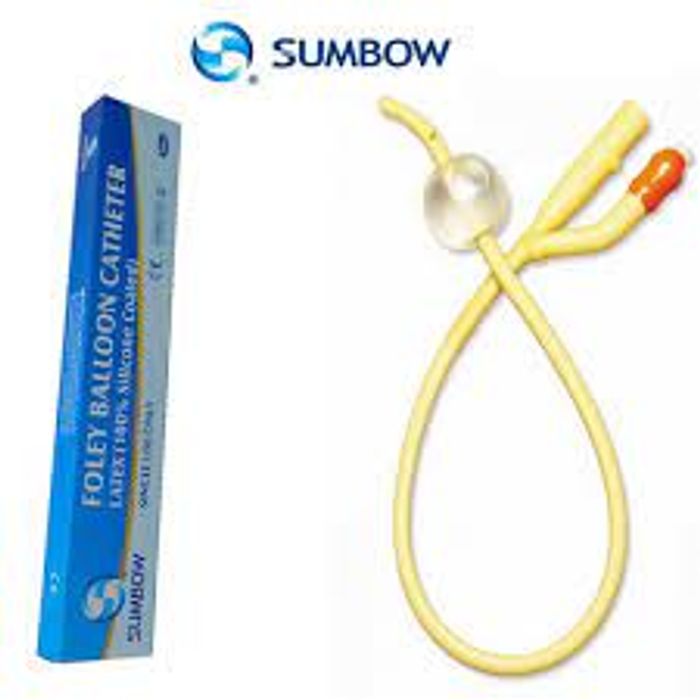 SONDE VISICAL FOLY 2V N°10