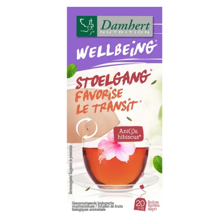 TISANE TRANSIT 20 SACHETS DAMHERT