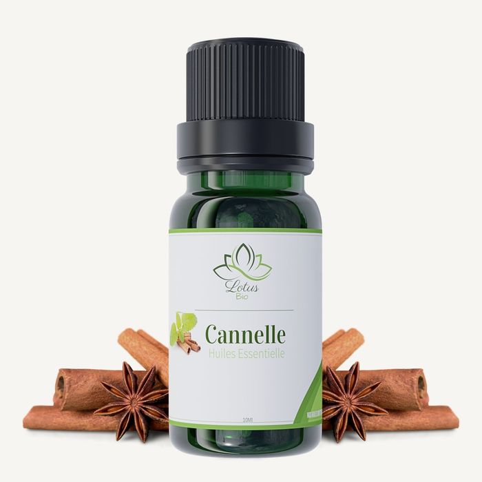 ROME SOINS HUILE ESSENTIELLE DE CANNELLE 15ML