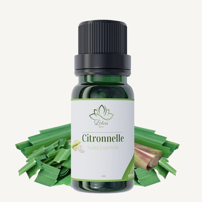 ROME SOINS HUILE ESSENTIELLE DE CITRONNELLE 15ML