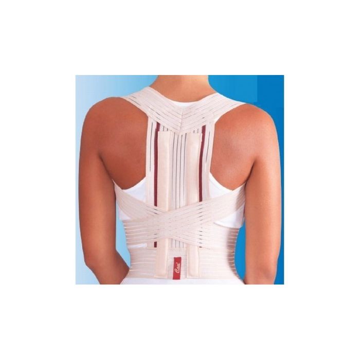 CASE REDRESSE DOS T S 5247