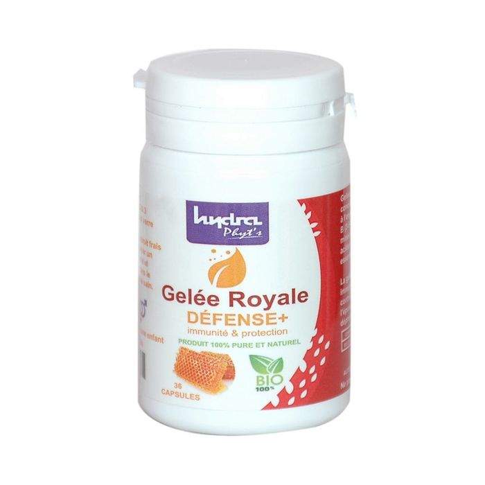GELEE ROYAL /60GEL 500MGR/HYDRA